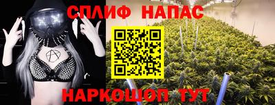 МДПВ Заводоуковск