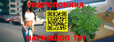 МДПВ Заводоуковск