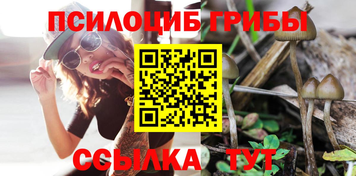 Магнитогорск  Галлюциногенные грибы ЛСД  Вход с VPN 